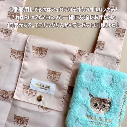 リップスティック/PAUL & JOE BEAUTE/口紅を使ったクチコミ(4枚目)