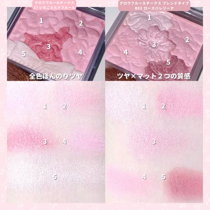 グロウフルールチークス/キャンメイク/パウダーチークを使ったクチコミ(4枚目)