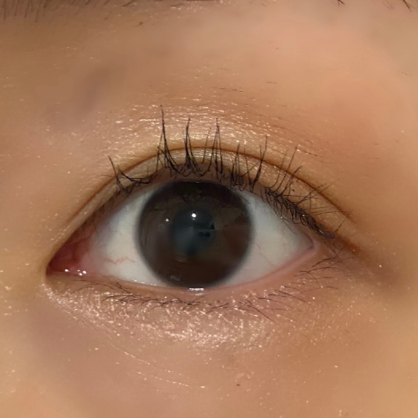 スカイハイ/MAYBELLINE NEW YORK/マスカラを使ったクチコミ(2枚目)