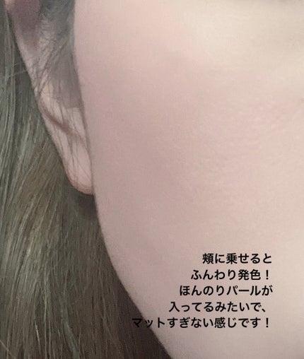 ピュアブラッシャー パフ付き/フォレンコス/パウダーチークを使ったクチコミ(4枚目)