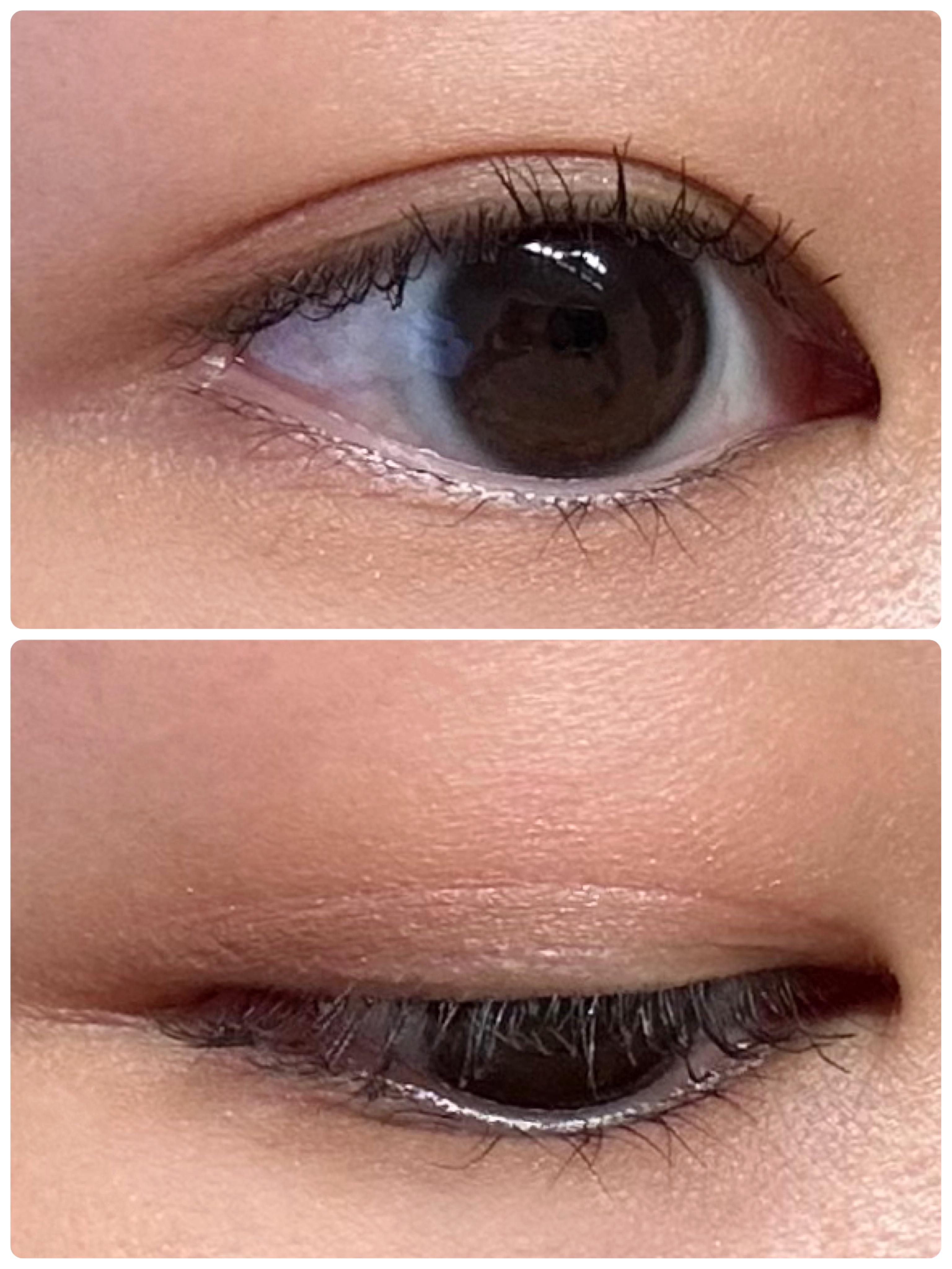 ウォンジョンヨ Ｗ デイリームードアップパレット  02 トレンチブラウン/Wonjungyo/アイシャドウパレットを使ったクチコミ（3枚目）