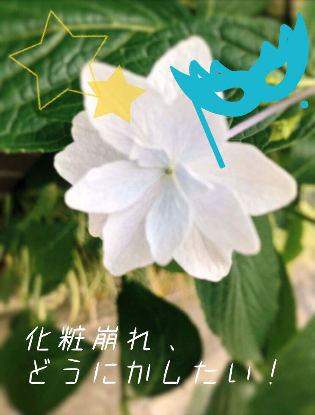 【旧品】マシュマロフィニッシュパウダー/キャンメイク/プレストパウダーを使ったクチコミ（1枚目）