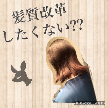 オイルトリートメント #EXヘアオイル/ルシードエル/ヘアオイルを使ったクチコミ（1枚目）