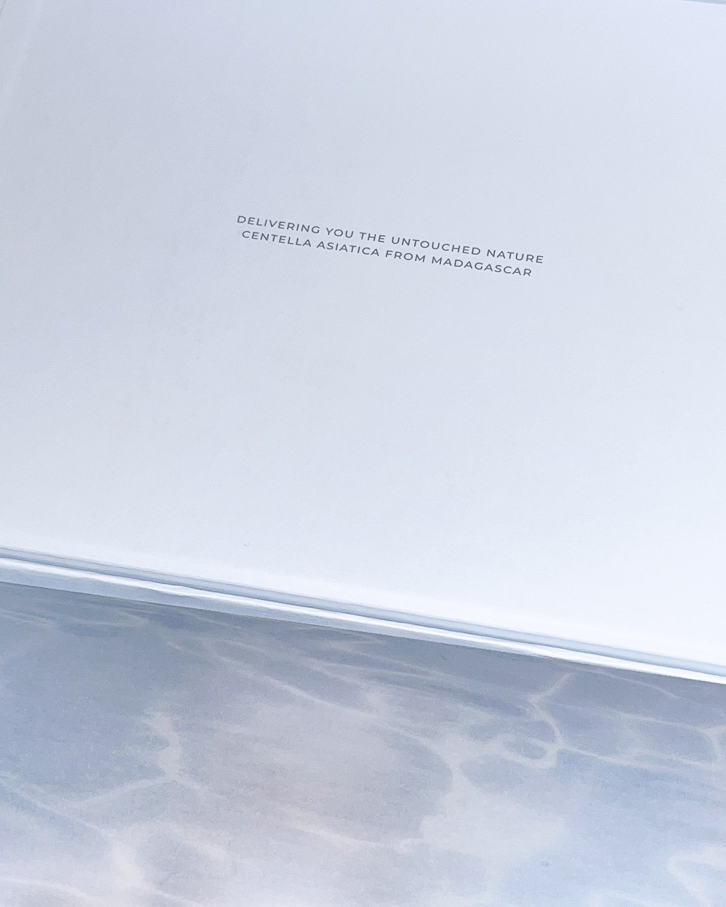 ヒアルーシカ モイスチャークリーム/SKIN1004/フェイスクリームを使ったクチコミ(9枚目)