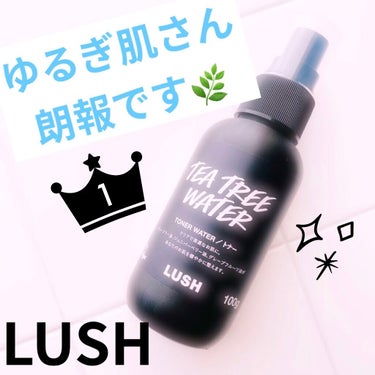 ラッシュ ティーツリーウォーターのクチコミ「💎LUSH ティーツリーウォーター💎


マスク生活や花粉による
ゆるぎ肌さん必見…👀**

.....」（1枚目）