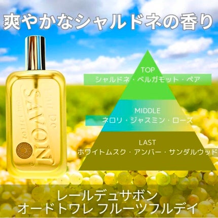 ヴァシリーサ ヌード ワン シャルドネ オードパルファム /ヴァシリーサ/香水(レディース)を使ったクチコミ(3枚目)