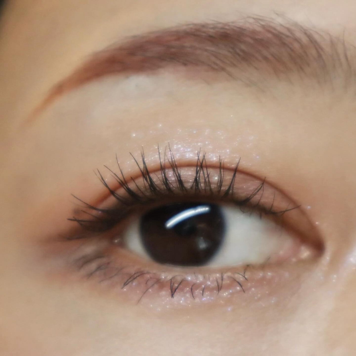 シグニチャー カラー アイズ/SUQQU/アイシャドウパレットを使ったクチコミ(5枚目)