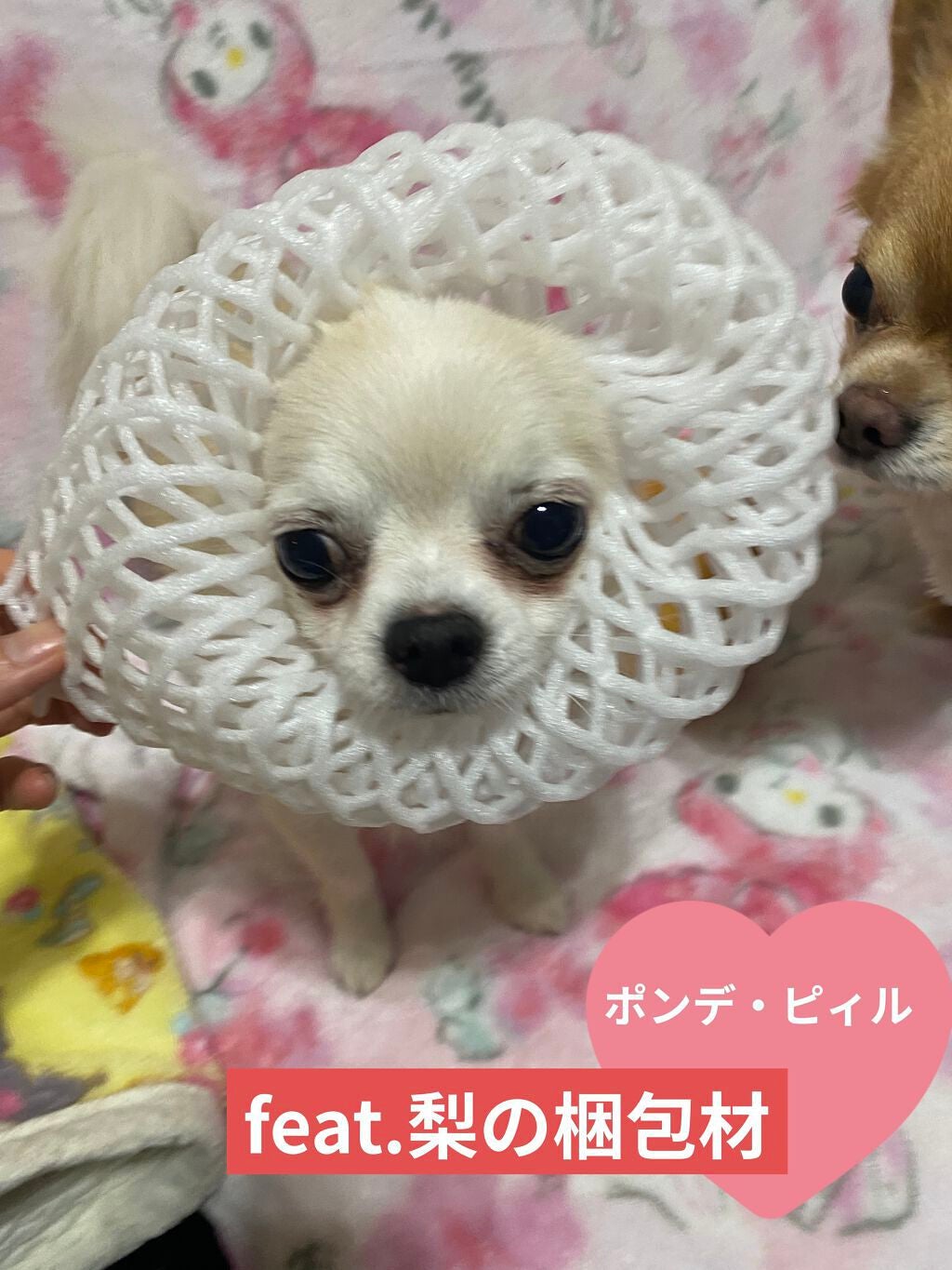 KTドレスアップネイル/ハローキティ/マニキュアを使ったクチコミ(7枚目)