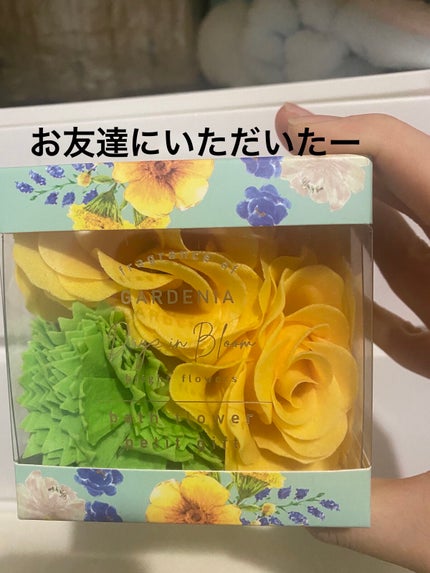 べネフィークコットン/BENEFIQUE/コットンを使ったクチコミ(3枚目)