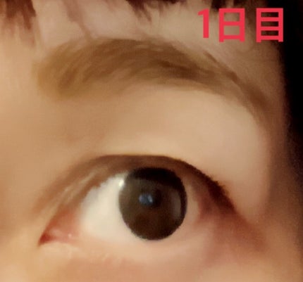 眉ティントSVR/Fujiko/眉ティントを使ったクチコミ(5枚目)