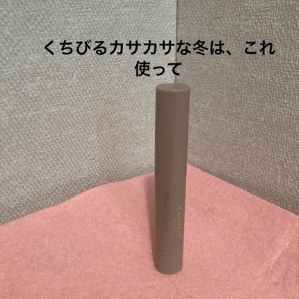 プランプリップケアスクラブ/キャンメイク/リップスクラブを使ったクチコミ(1枚目)