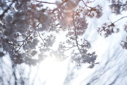 翠 on LIPS 「美容のために家に引きこもるよりも、たまにはひっそりと外に出て綺..」(4枚目)