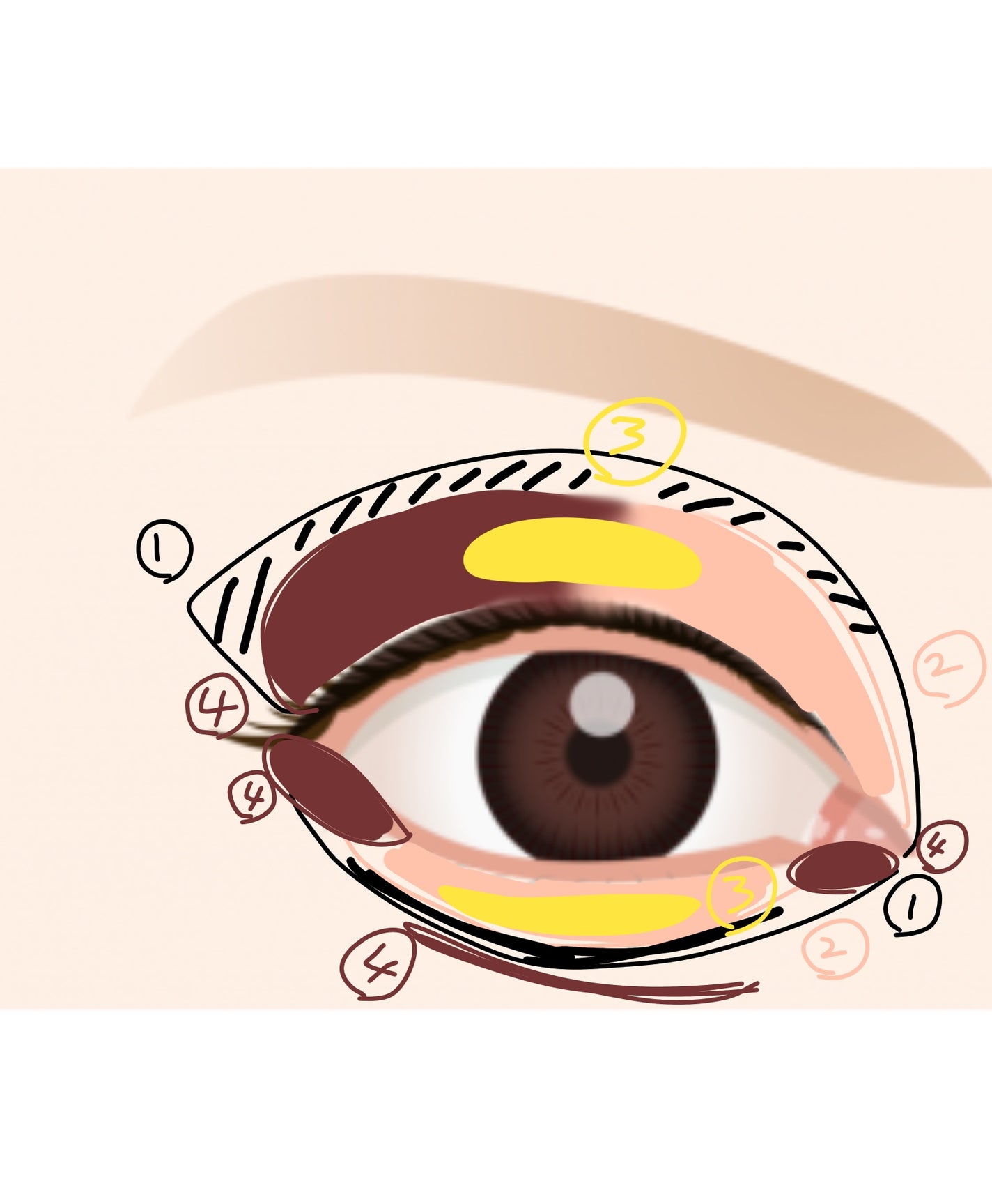 センムル シャドウ ボックス(1)/the SAEM/アイシャドウパレットを使ったクチコミ(5枚目)