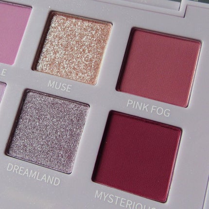 エクスプローラ12色 動物アイシャドウパレット バタフライ/PERFECT DIARY/アイシャドウパレットを使ったクチコミ(3枚目)