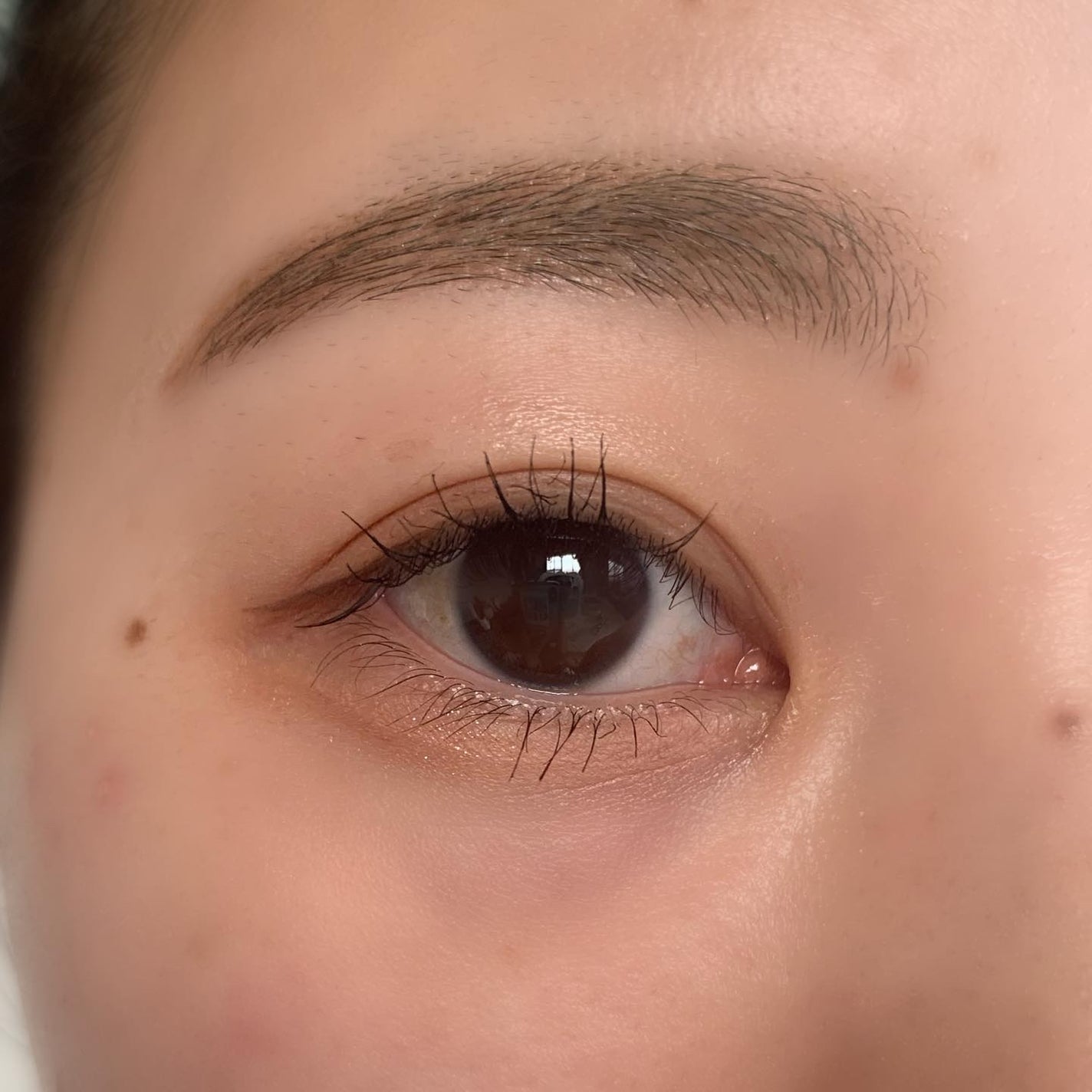 KEYBO FALL IN LOVE SHADOW PALETTE/keybo/アイシャドウパレットを使ったクチコミ(5枚目)