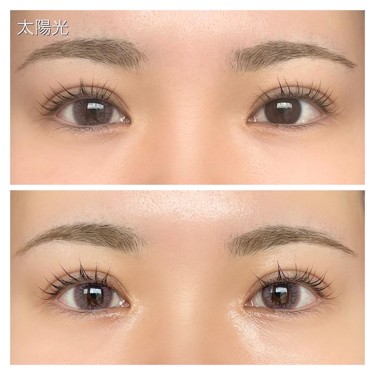 VNTUS 1day/VNTUS/ワンデー（１DAY）カラコンを使ったクチコミ（3枚目）