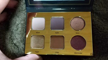 tarte PRO TO GOのクチコミ「【使った商品】tarte
【色味】PRO TO GO
【ラメorマット】両方入っています✨ラメ.....」（3枚目）