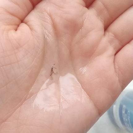 を使ったクチコミ(3枚目)