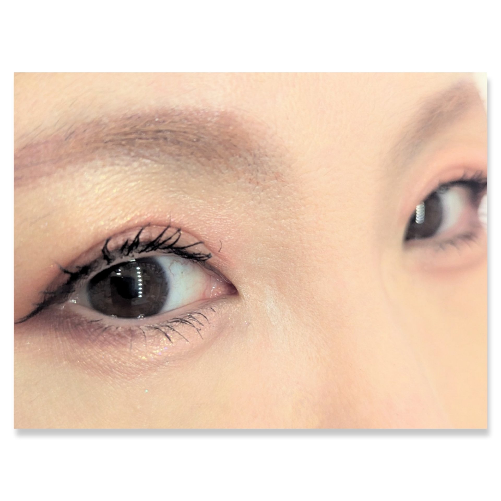 パノラマデザイン アイパレット/Visée/アイシャドウパレットを使ったクチコミ（2枚目）