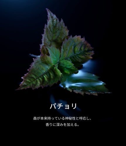 レプリカ オードパルファン ソウル オブ ザ フォレスト/Maison Margiela Fragrances/香水(その他)を使ったクチコミ(4枚目)