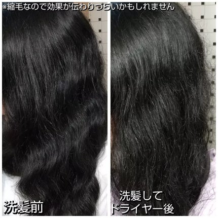 プルント ディープリペアペアセット アールグレイ N/Purunt./市販シャンプーを使ったクチコミ(8枚目)