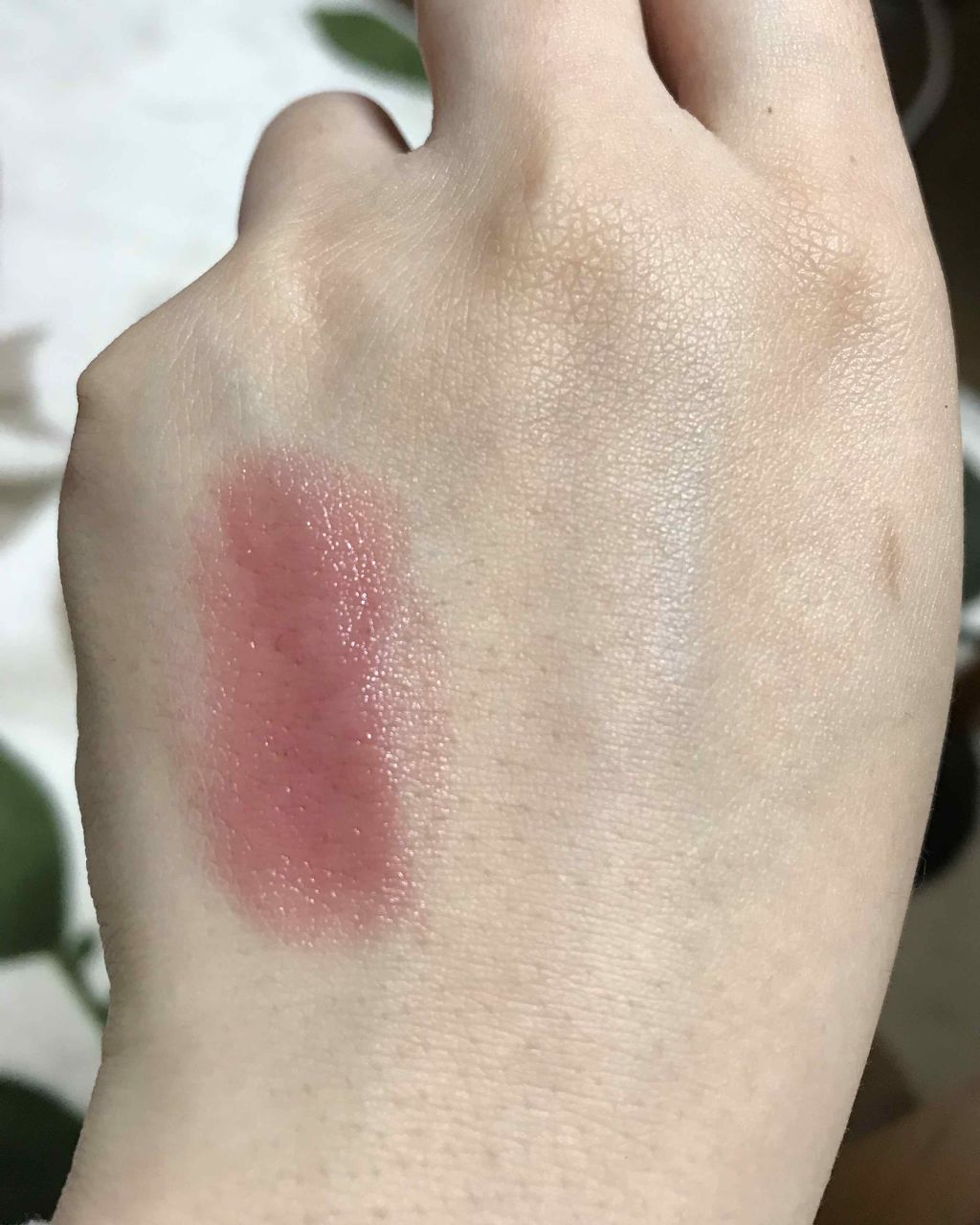 ラスティング リップカラーN/CEZANNE/口紅を使ったクチコミ(1枚目)