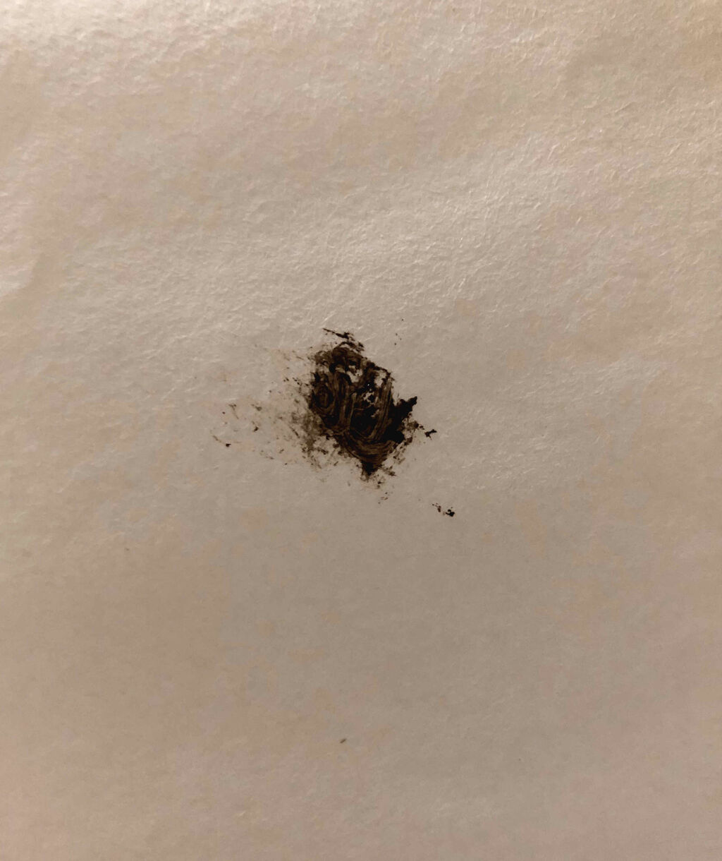 ロング＆カラード ラッシュ LC01 ダークウォルナット/excel/マスカラを使ったクチコミ（3枚目）