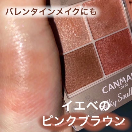 シルキースフレアイズ(マットタイプ)/キャンメイク/アイシャドウパレットを使ったクチコミ(1枚目)