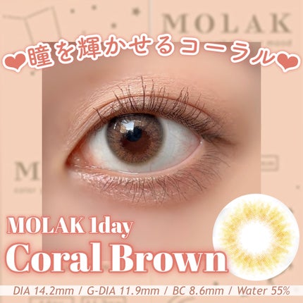 MOLAK 1day/MOLAK/ワンデー(1DAY)カラコンを使ったクチコミ(1枚目)