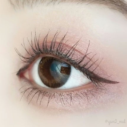 リッチスタンダード2WEEKシリーズ/RICH STANDARD/2週間(2WEEKS)カラコンを使ったクチコミ(2枚目)