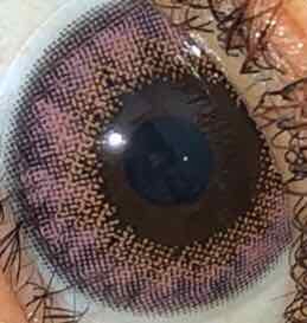 CRUUM 1day/CRUUM/ワンデー（１DAY）カラコンを使ったクチコミ（2枚目）