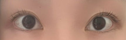 低刺激セルフまつげパーマ9種セット/EYE2IN/その他キットセットを使ったクチコミ(8枚目)