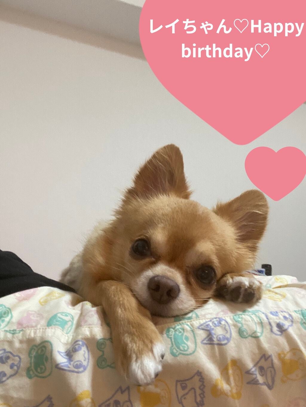 ネイル エナメル/ちふれ/マニキュアを使ったクチコミ(8枚目)