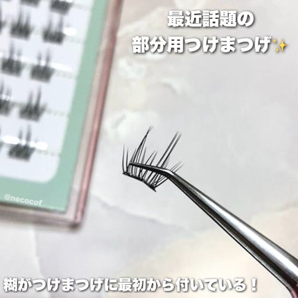 keybo BBiBBi LASH/keybo/つけまつげを使ったクチコミ(2枚目)