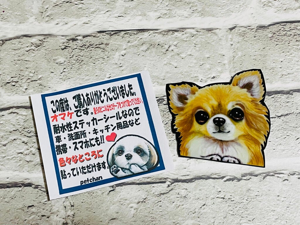 チワワ&コスメ柄ポーチ/わんDayペット/その他を使ったクチコミ(3枚目)