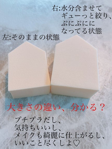 ジェリータッチスポンジ ハウス型/ロージーローザ/パフ・スポンジを使ったクチコミ(5枚目)