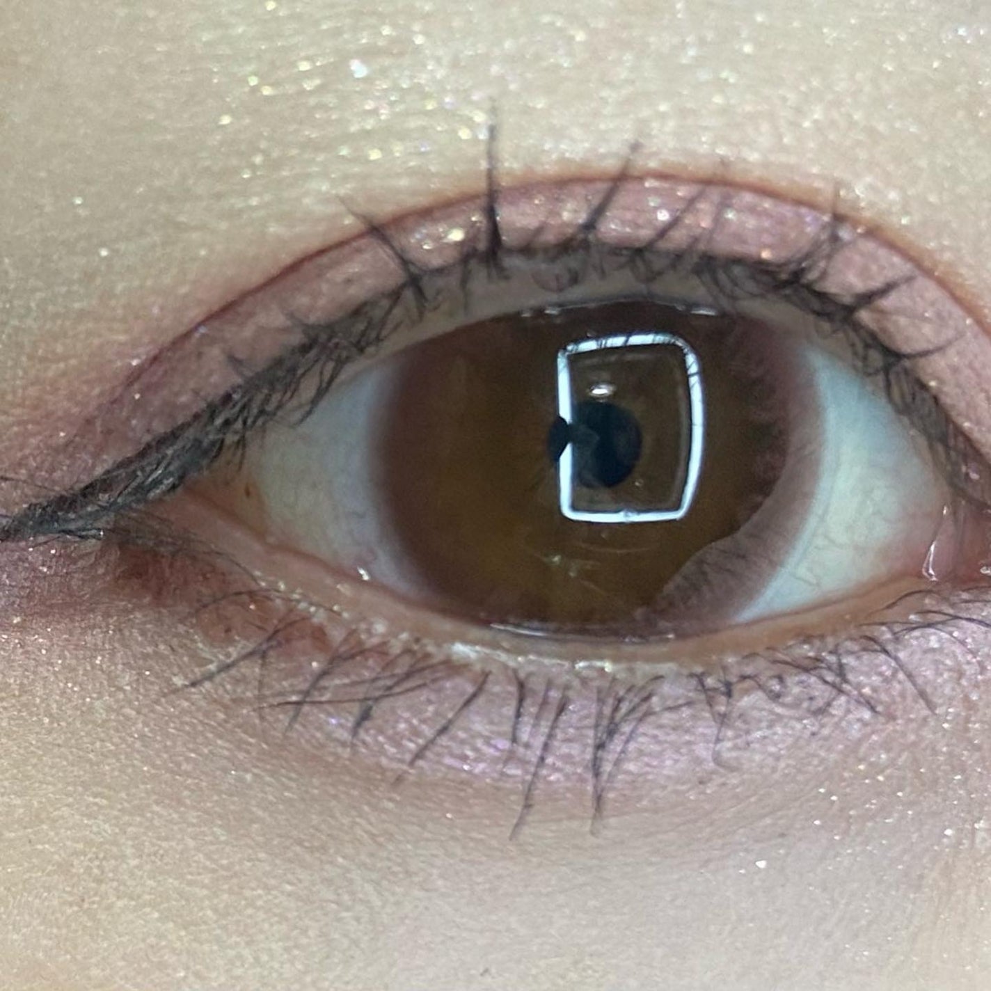 目元チュートリアルアイパレット/Colorgram/アイシャドウパレットを使ったクチコミ(6枚目)