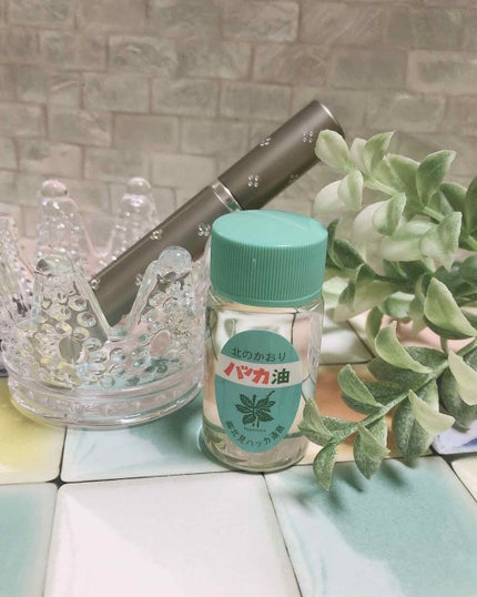 ハッカ油 スプレー/北見ハッカ通商/その他を使ったクチコミ(2枚目)