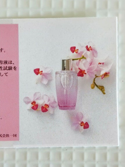 アンナララティ美容液/椎名洋ラン園/美容液を使ったクチコミ(6枚目)