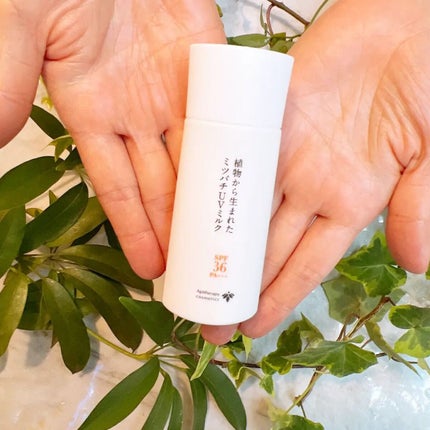 植物から生まれたミツバチUVミルク/アピセラピーコスメティクス/日焼け止めミルクを使ったクチコミ(10枚目)