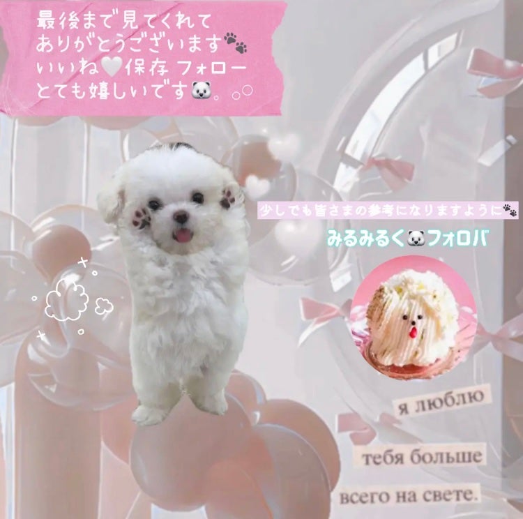 オールインワンマスカラ/ILM/マスカラを使ったクチコミ(3枚目)