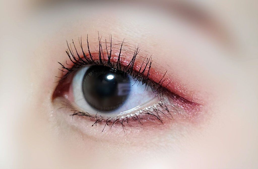 シナモン ベア メイクアップ コレクション/Too Faced/アイシャドウパレットを使ったクチコミ(4枚目)