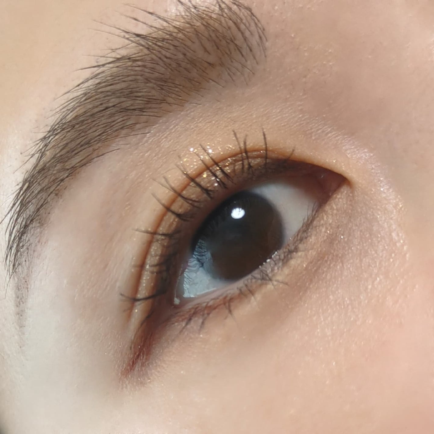 ハイパーリフトマスカラ/D-UP/マスカラを使ったクチコミ(5枚目)