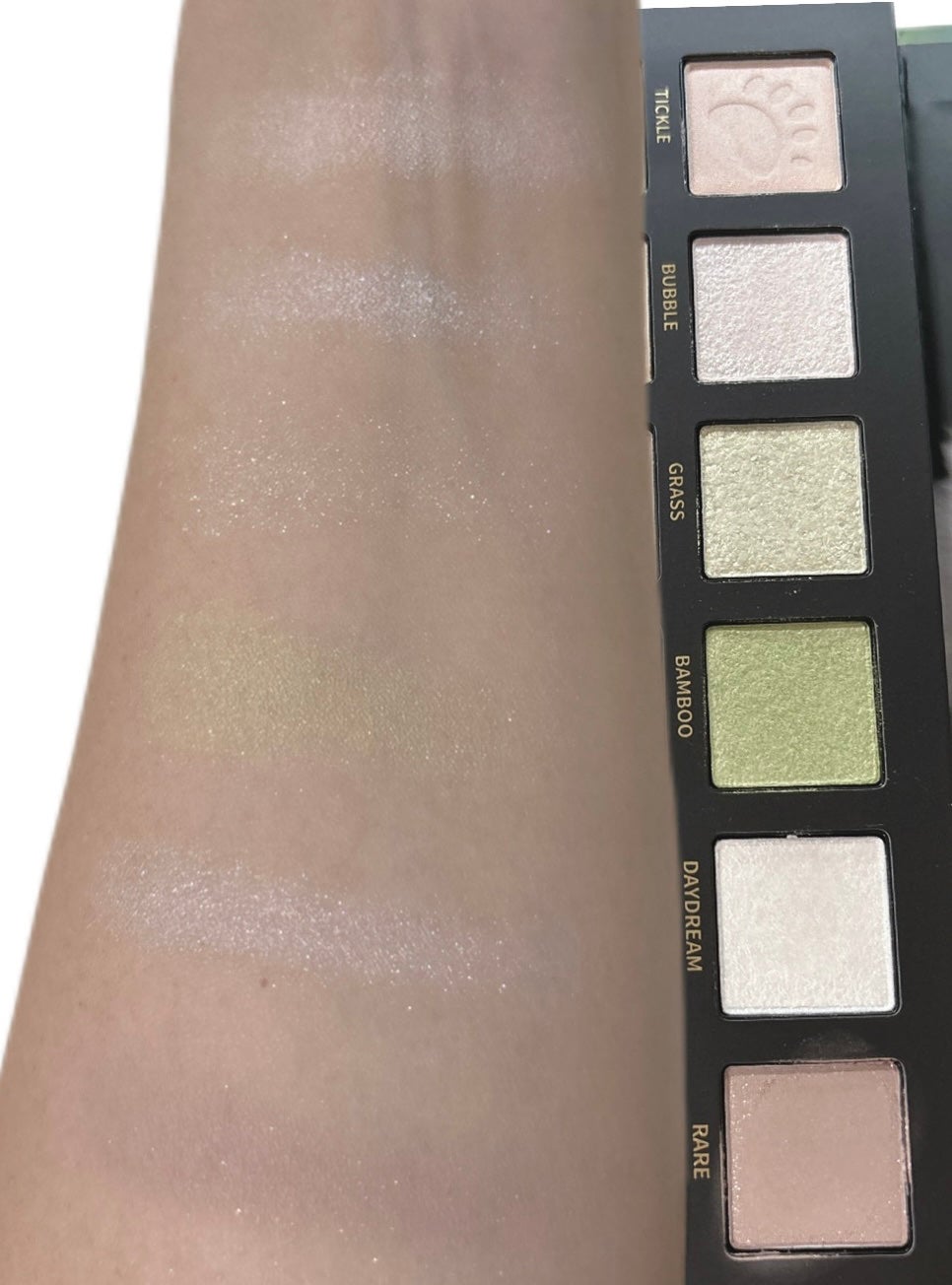 エクスプローラ12色 動物アイシャドウパレット/PERFECT DIARY/アイシャドウパレットを使ったクチコミ(2枚目)