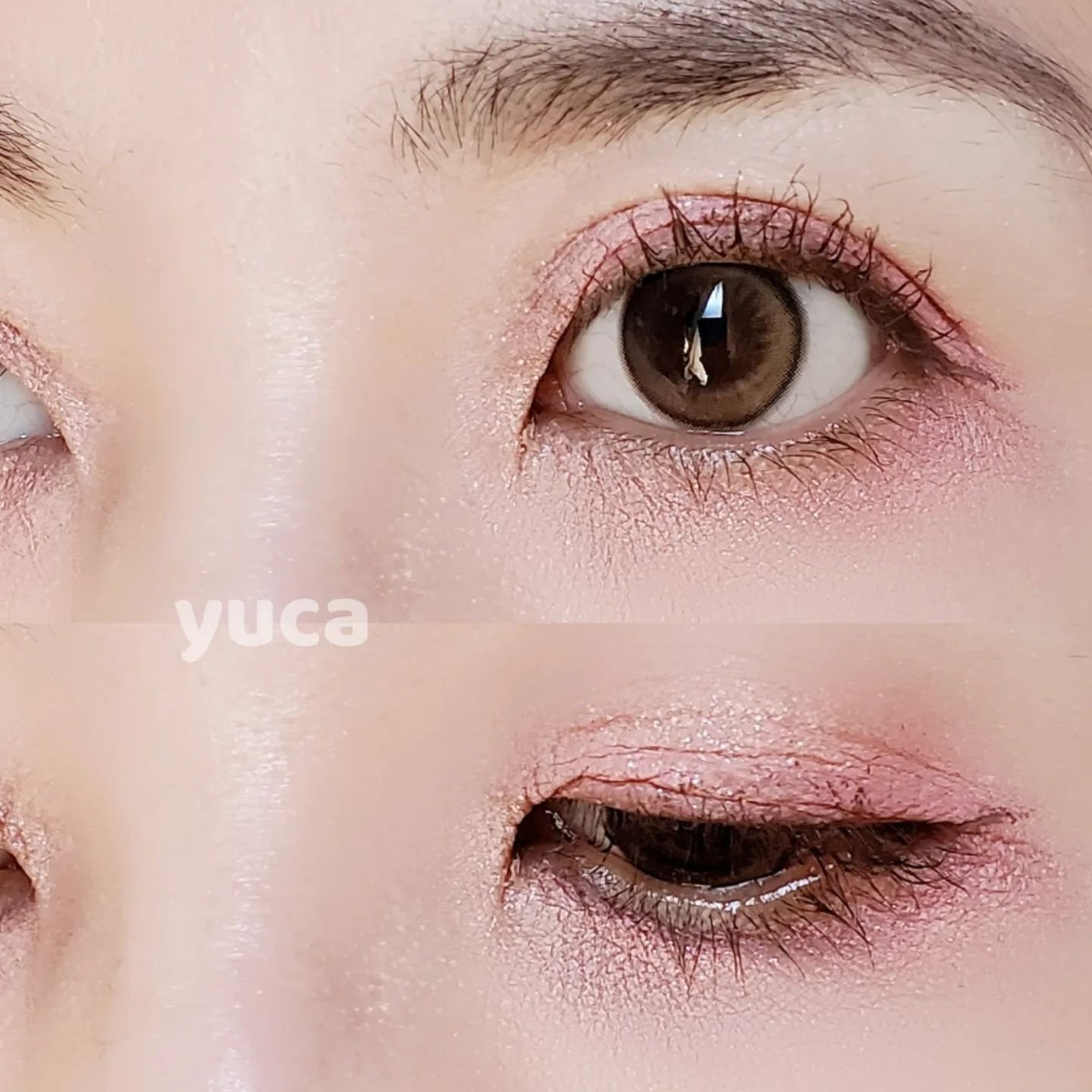 シャドウパレット/dasique/アイシャドウパレットを使ったクチコミ(4枚目)