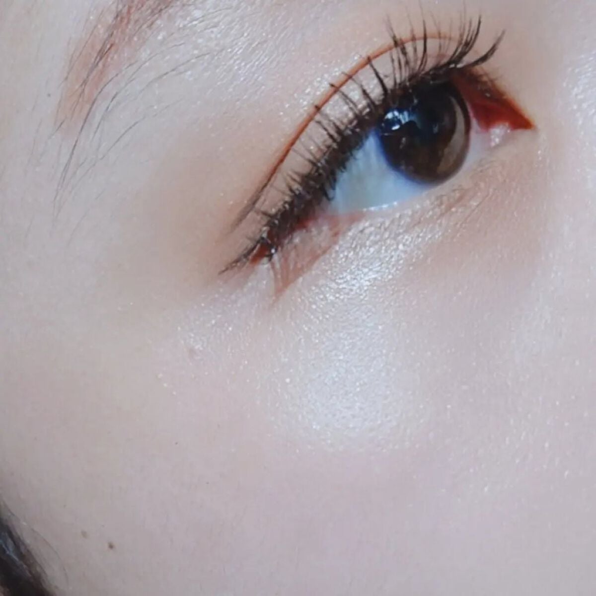 フェイスシャインブラッシャー/BabyBright/パウダーチークを使ったクチコミ(9枚目)