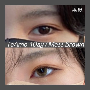 TeAmo 1DAY/TeAmo/ワンデー（１DAY）カラコンを使ったクチコミ（1枚目）