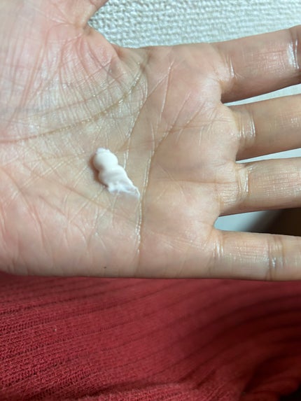 ミネラルインナートリートメントベース/エトヴォス/化粧下地を使ったクチコミ(2枚目)