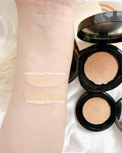 ブラーフィニッシュ雲楚クッション/Dinto/クッションファンデーションを使ったクチコミ(4枚目)