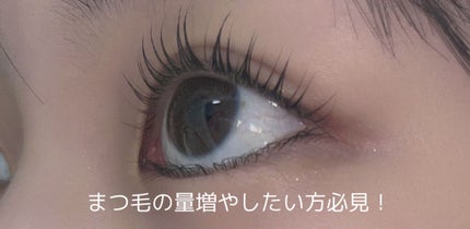 miss lash /miss lash/その他を使ったクチコミ(1枚目)